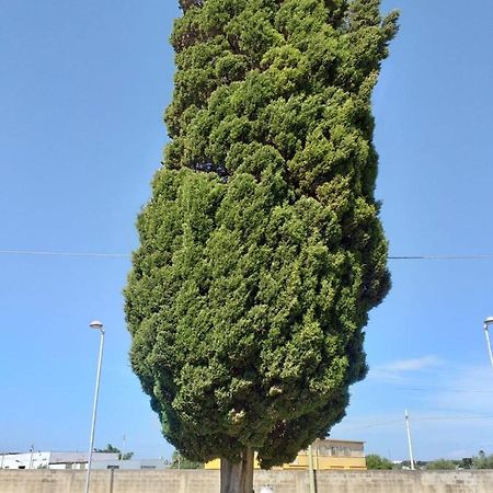L'Albero Bello Holiday Mazara del Vallo Eksteriør billede